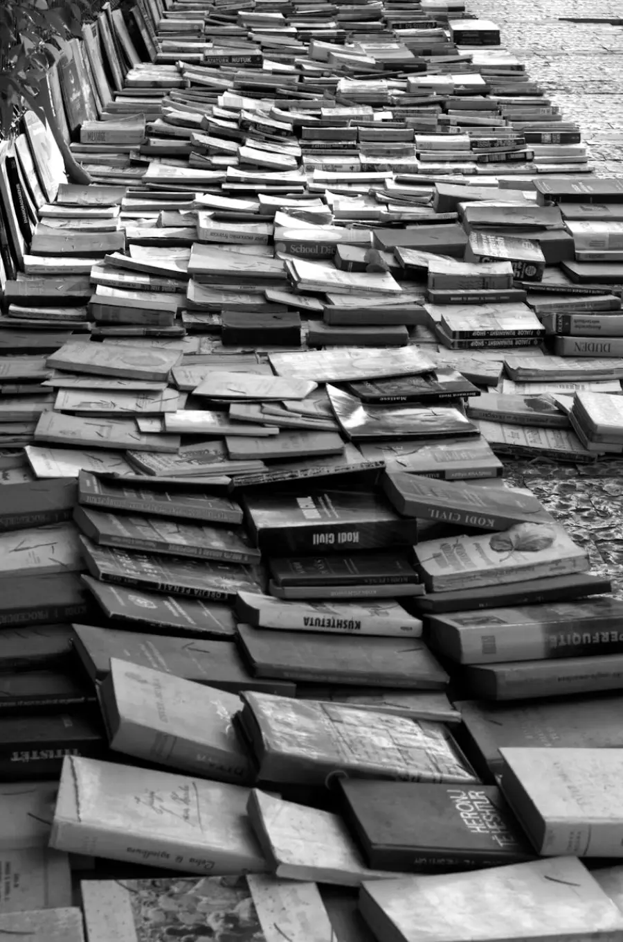 Aosta, “La grande invasione” porta libri e autori in città