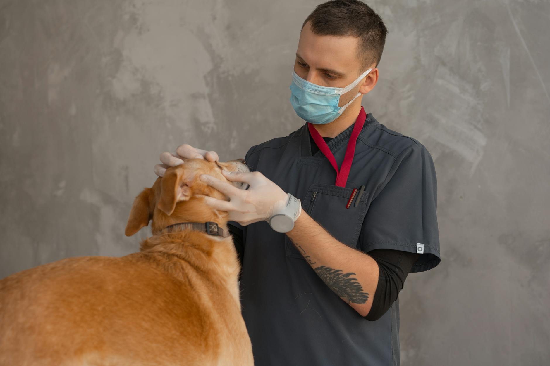 Movimentazione di animali selvatici e prodotti agroalimentari, corso di aggiornamento