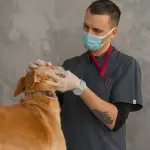 Movimentazione di animali selvatici e prodotti agroalimentari, corso di aggiornamento