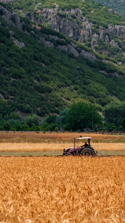 La Valle d’Aosta sostiene le aziende agricole con contributi fino al 60% per investimenti, energia rinnovabile e competitività.