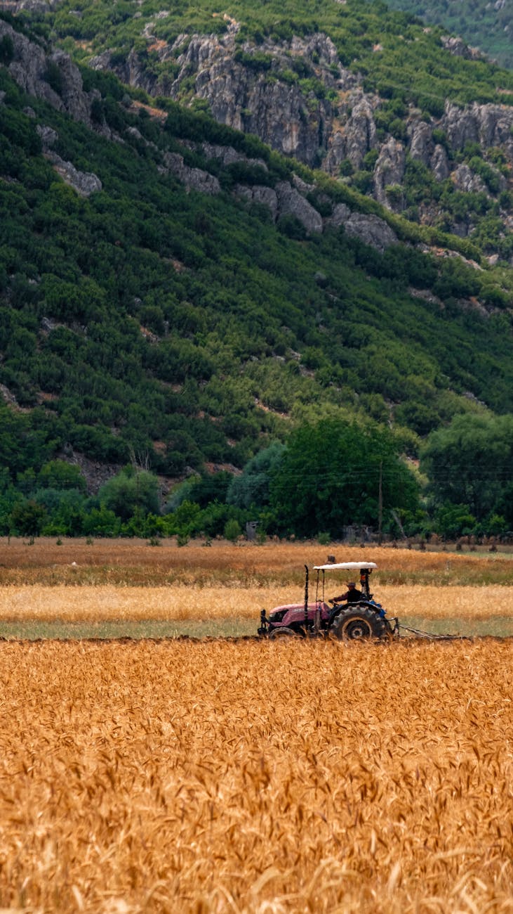 La Valle d’Aosta sostiene le aziende agricole con contributi fino al 60% per investimenti, energia rinnovabile e competitività.