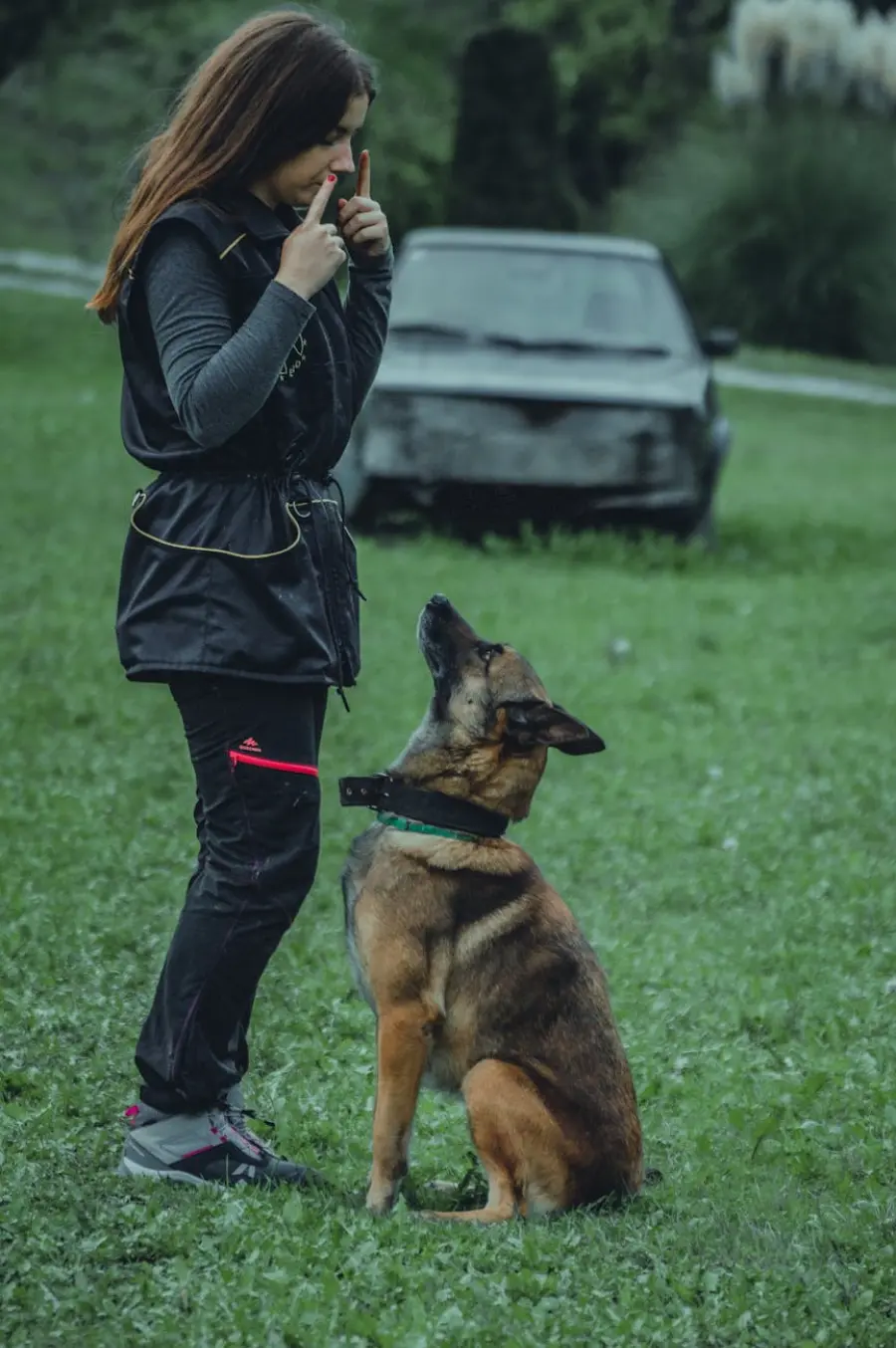 Aosta, maxi controlli con unità cinofila: denunce e sanzioni